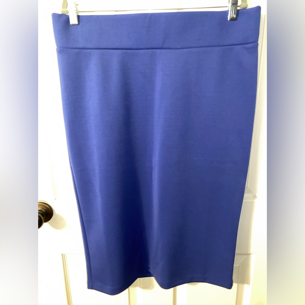 Eloquii blue pencil skirt (never worn)